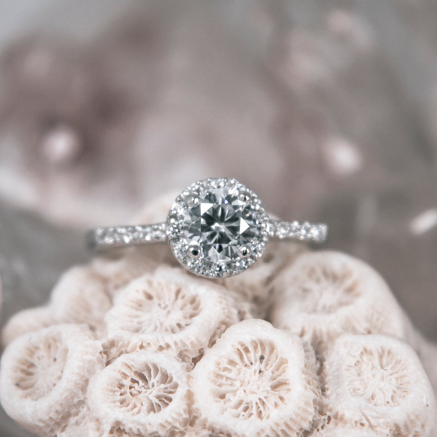 NR2463- Halo Ring